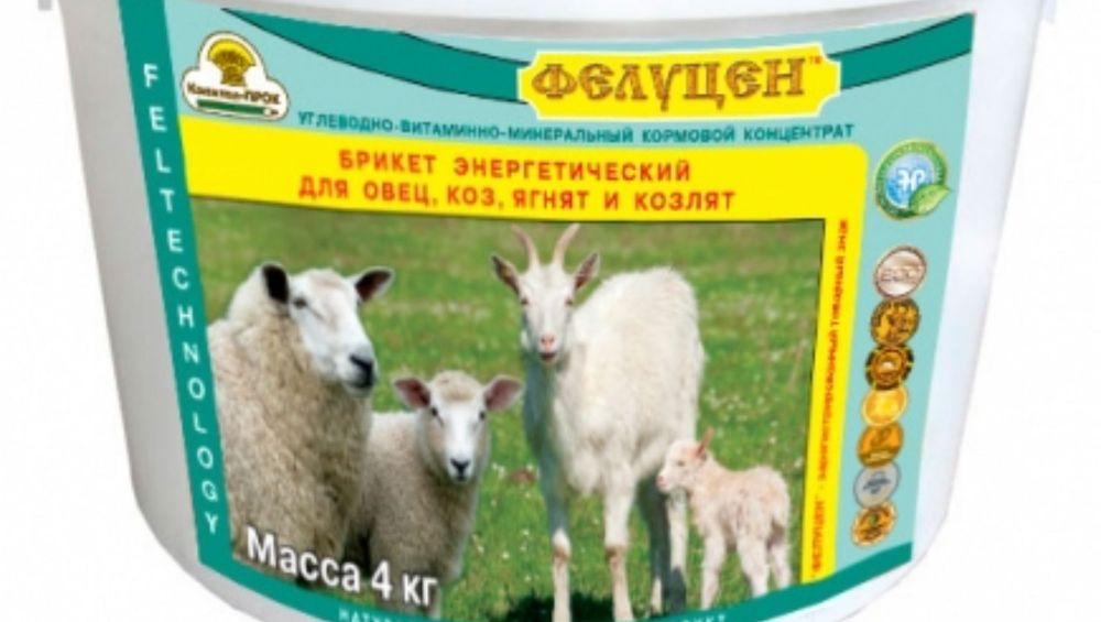 кормление коров