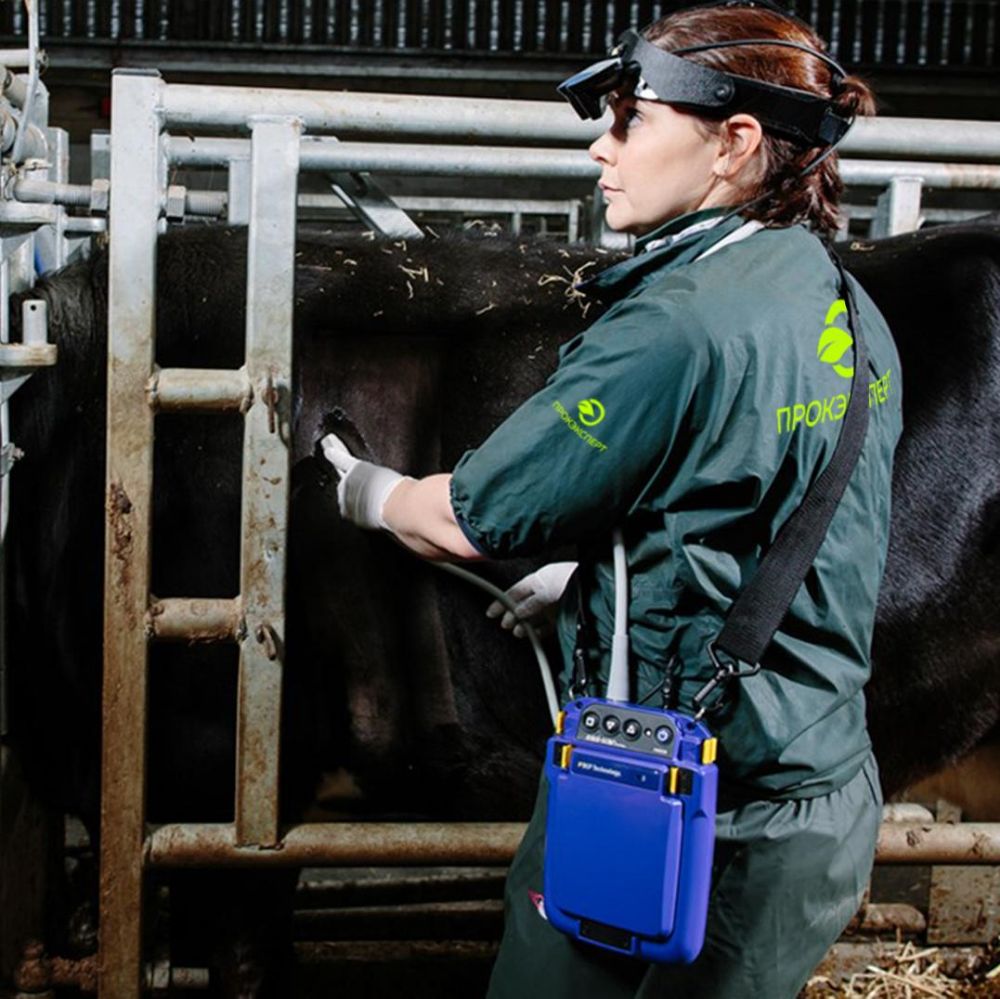 кормление коров