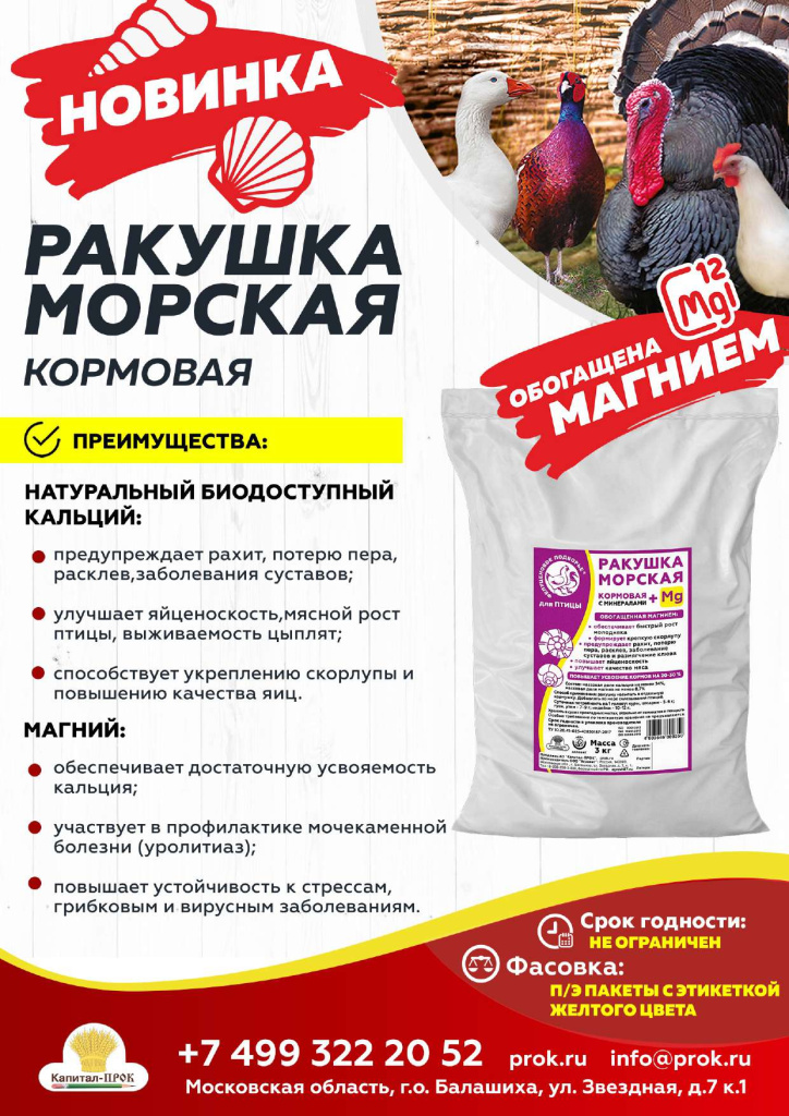 Новинки и ТОП 2025 АВГУСТ КП_Страница_11.jpg