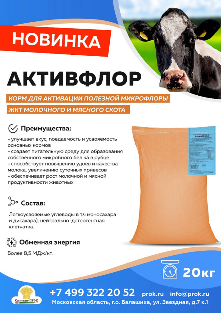 5.jpg 5.jpg