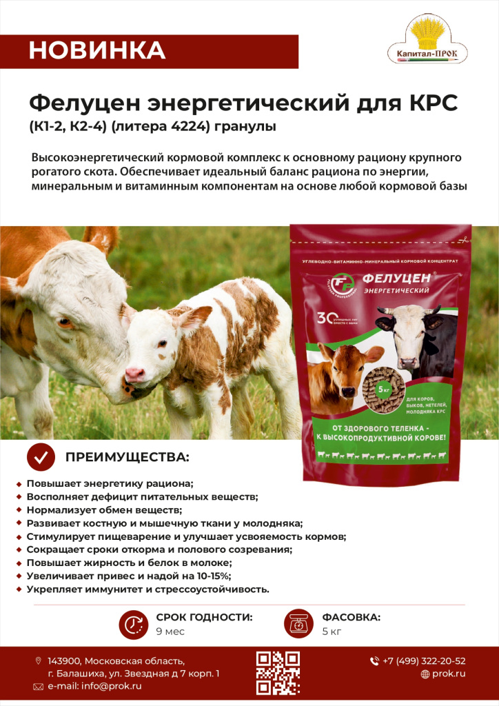 Новинки и ТОП декабрь 2025 КП_page-0003.jpg