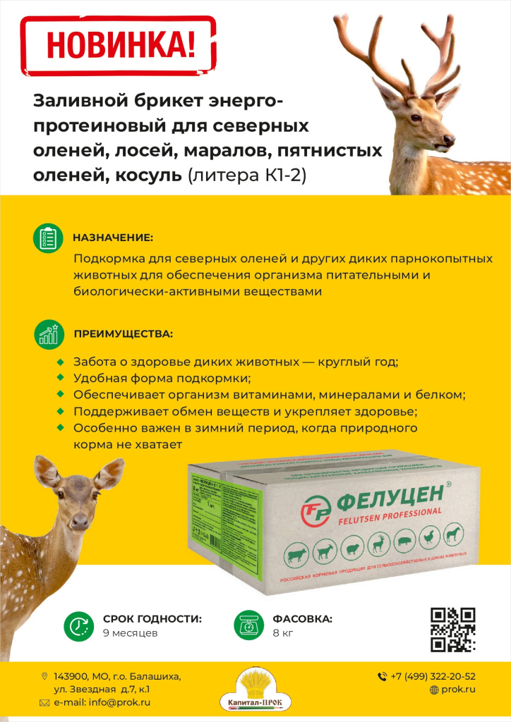 Новинки и ТОП декабрь 2025 КП_page-0006.jpg