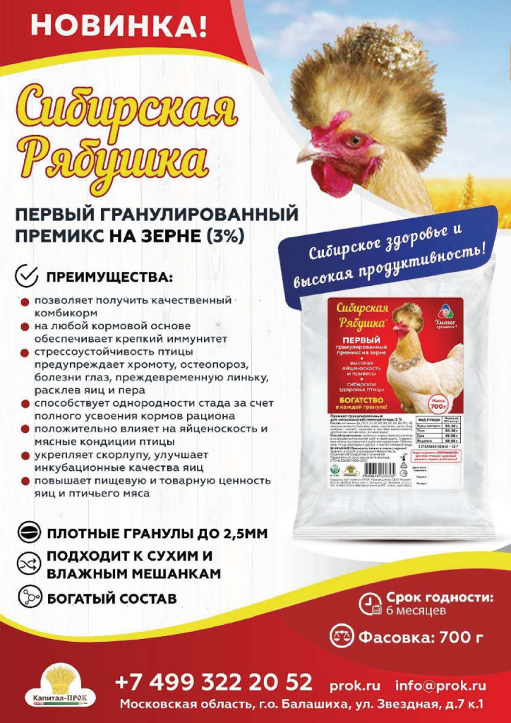 Новинки КП Март 2024 (2)_Страница_06.jpg Новинки КП Март 2024 (2)_Страница_06.jpg