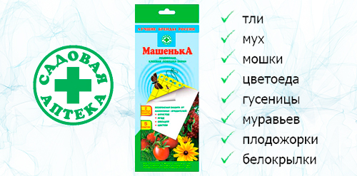 mashenka.jpg mashenka.jpg