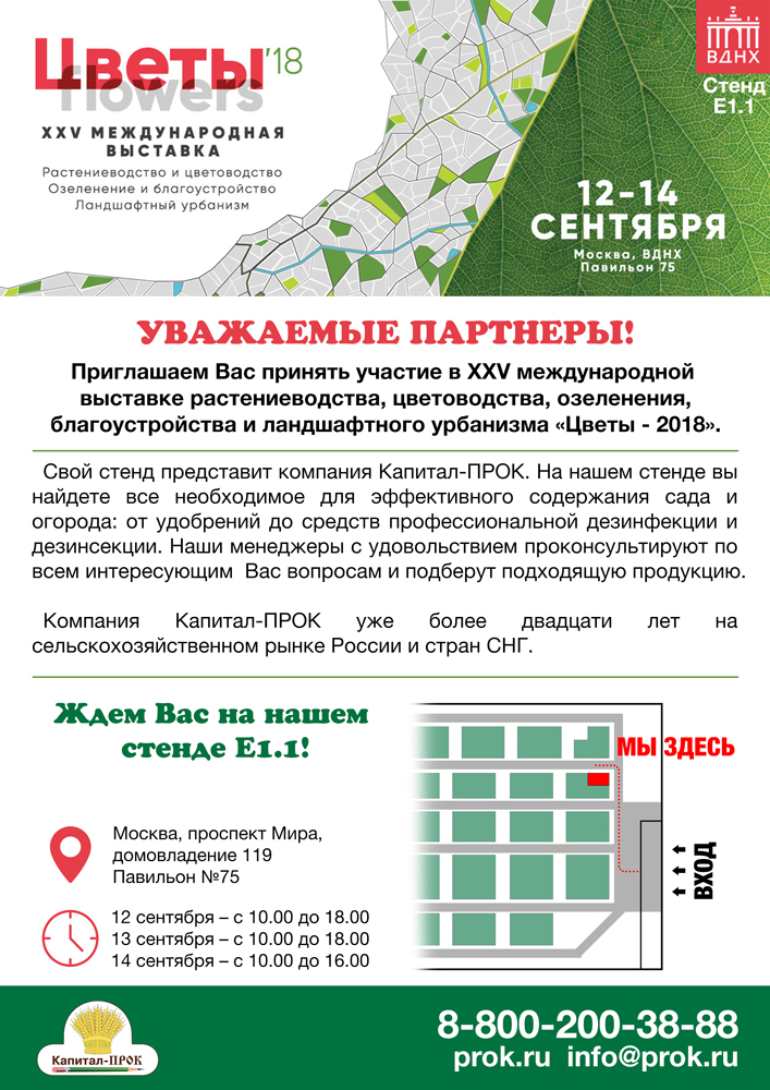 цветы-2018 (1).jpg