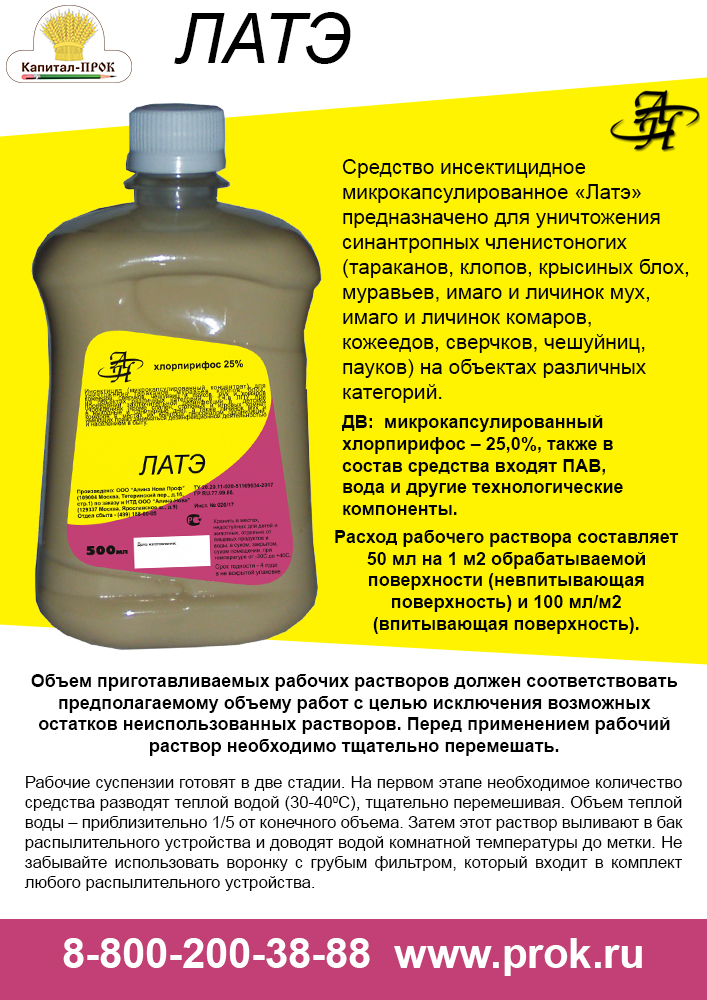 late-1.jpg late-1.jpg