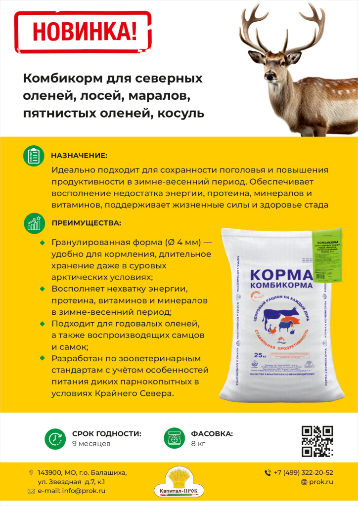 Новинки и ТОП декабрь 2025 КП_page-0005.jpg