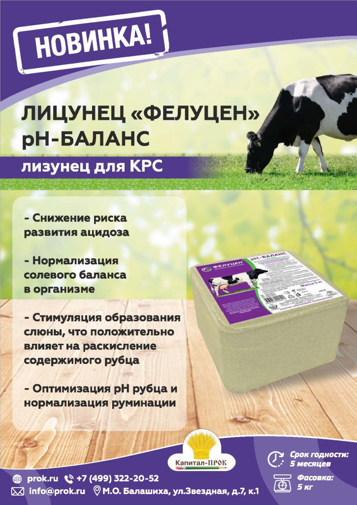 Новинки и ТОП 2025 АВГУСТ КП_Страница_03.jpg