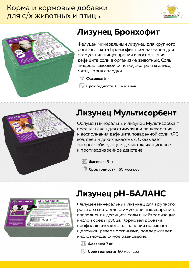 Новинки Апреля 2021 Капитал-ПРОК_Страница_02.jpg Новинки Апреля 2021 Капитал-ПРОК_Страница_02.jpg