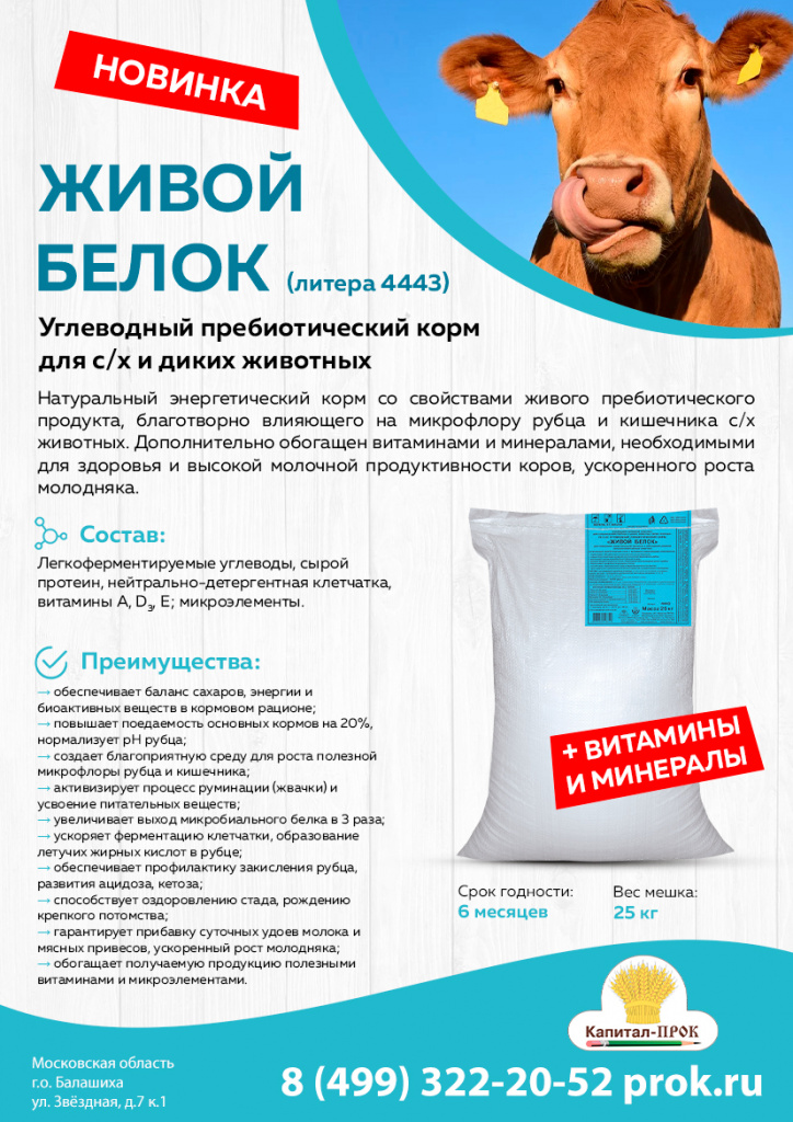 Живой белок состав. Белок для крс. Органические вещества клетки белки строение. Структура. Живой белок состав.
