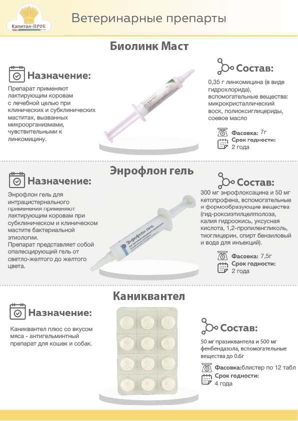 4.2.jpg 4.2.jpg