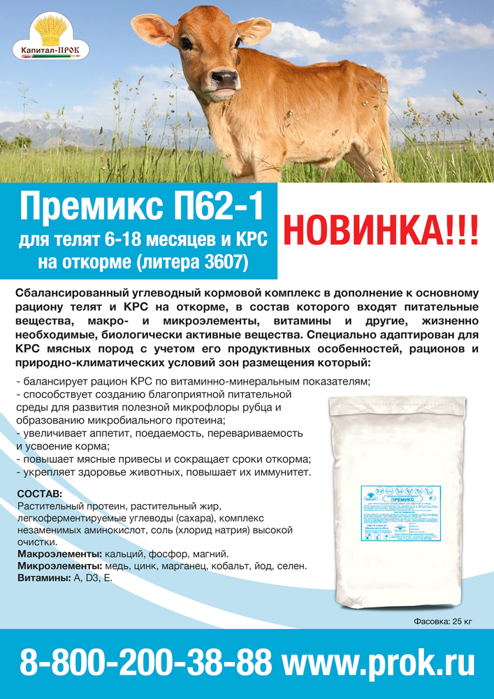 p62-1-1.jpg p62-1-1.jpg