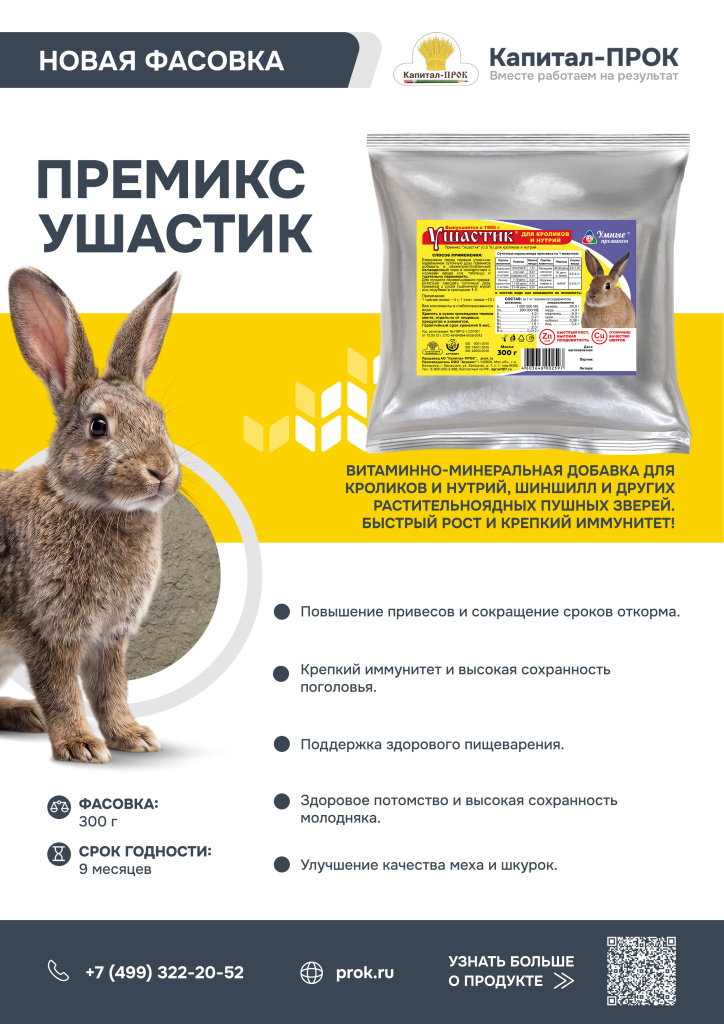 Ушастик.jpg