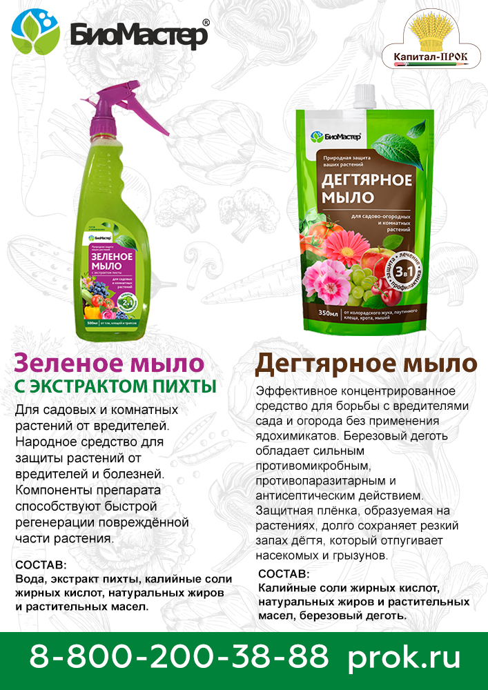 biomaster1.jpg biomaster1.jpg