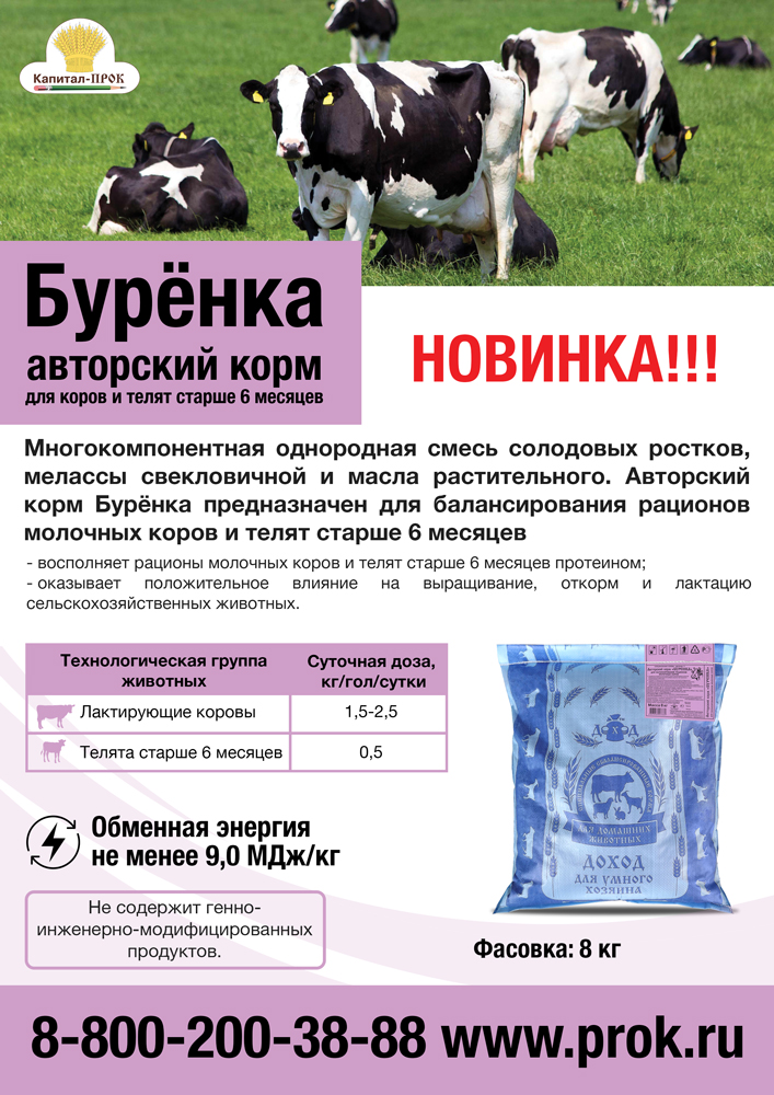 Магазин Буренка Тольятти Официальный Сайт