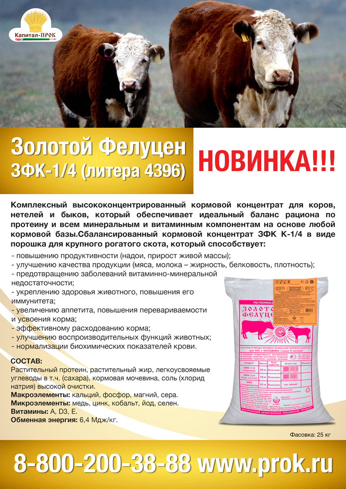 zfk-1.jpg zfk-1.jpg