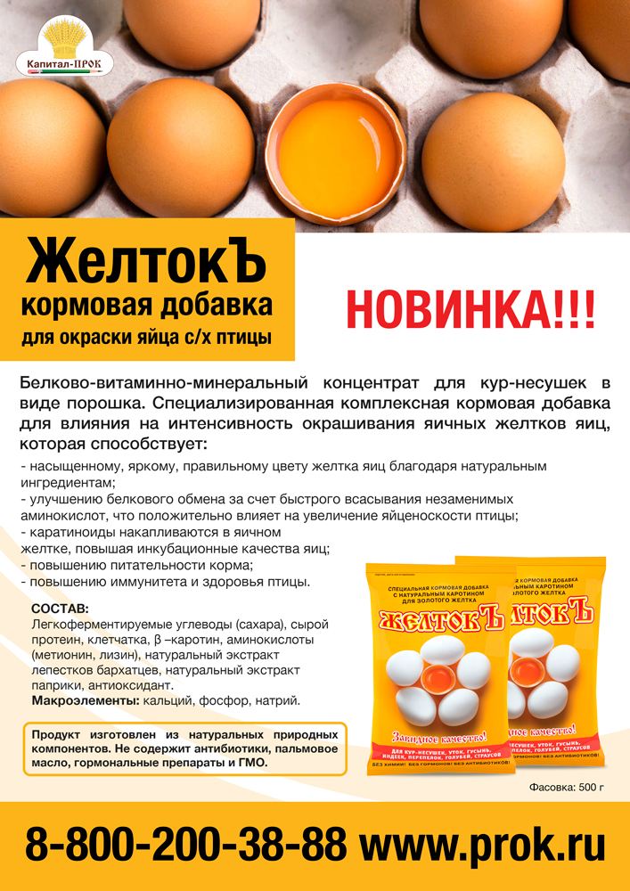 jeltok1.jpg jeltok1.jpg