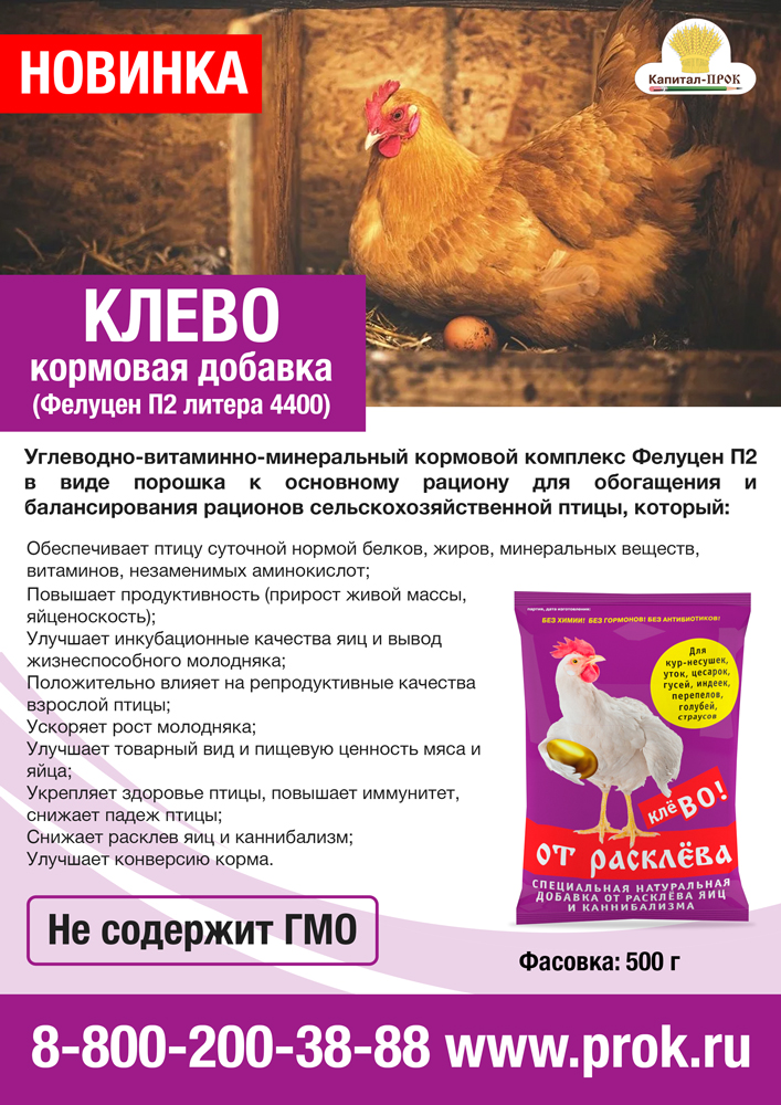 klevo1.jpg klevo1.jpg