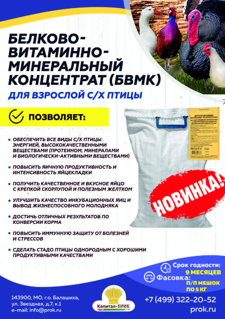 Новинки иТОП 2024 КП октябрь_Страница_08.jpg Новинки иТОП 2024 КП октябрь_Страница_08.jpg