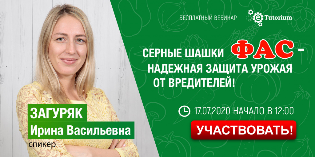 Приглашение на вебинар Загуряк (1).jpg Приглашение на вебинар Загуряк (1).jpg