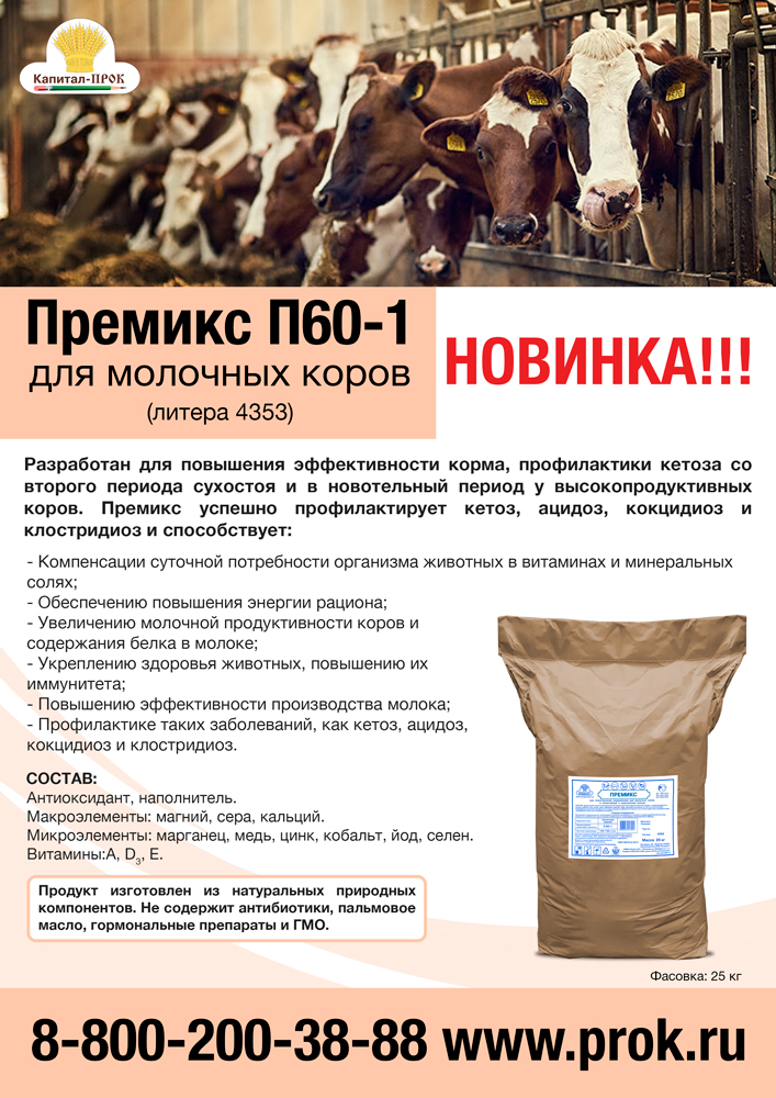 p60-1-1.jpg p60-1-1.jpg
