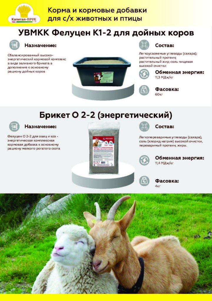 Новинки и ТОП 2025 Март КП_Страница_03.jpg Новинки и ТОП 2025 Март КП_Страница_03.jpg
