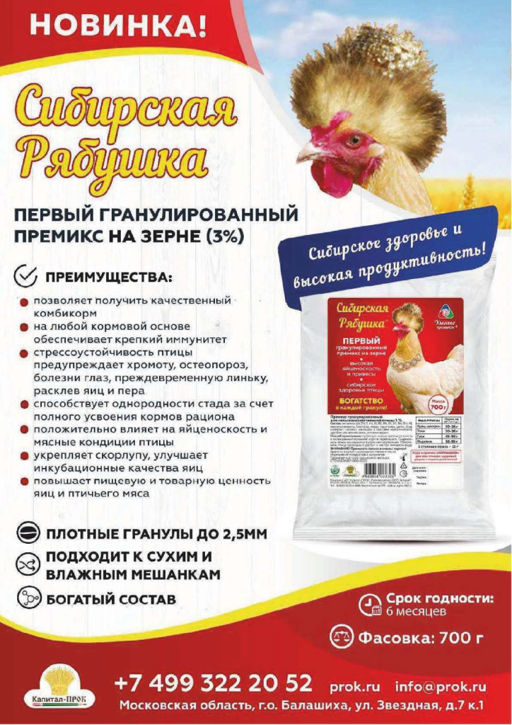 Новинки и ТОП 2025 АВГУСТ КП_Страница_12.jpg