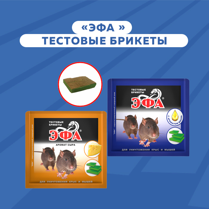 Тесто.jpg Тесто.jpg