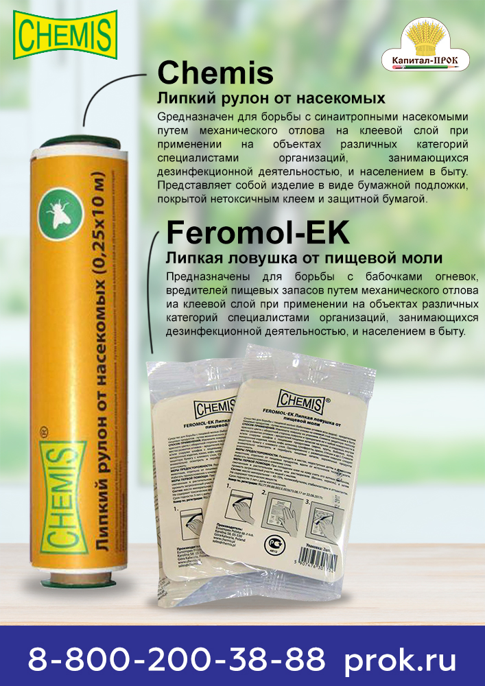 chemis-1.jpg chemis-1.jpg