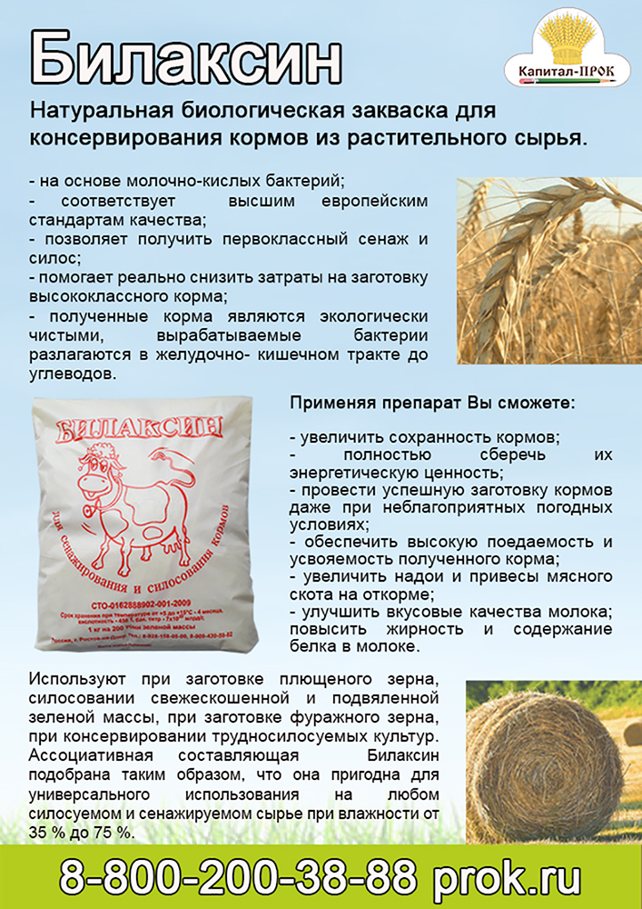 bilaksinkp.jpg bilaksinkp.jpg