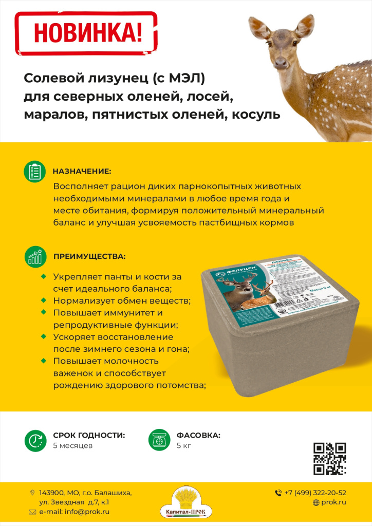 Новинки и ТОП декабрь 2025 КП_page-0004.jpg