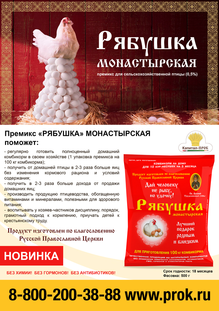 ryabushka-kp.jpg ryabushka-kp.jpg