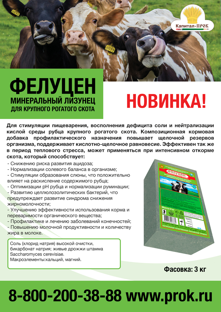 lizunec1.jpg lizunec1.jpg