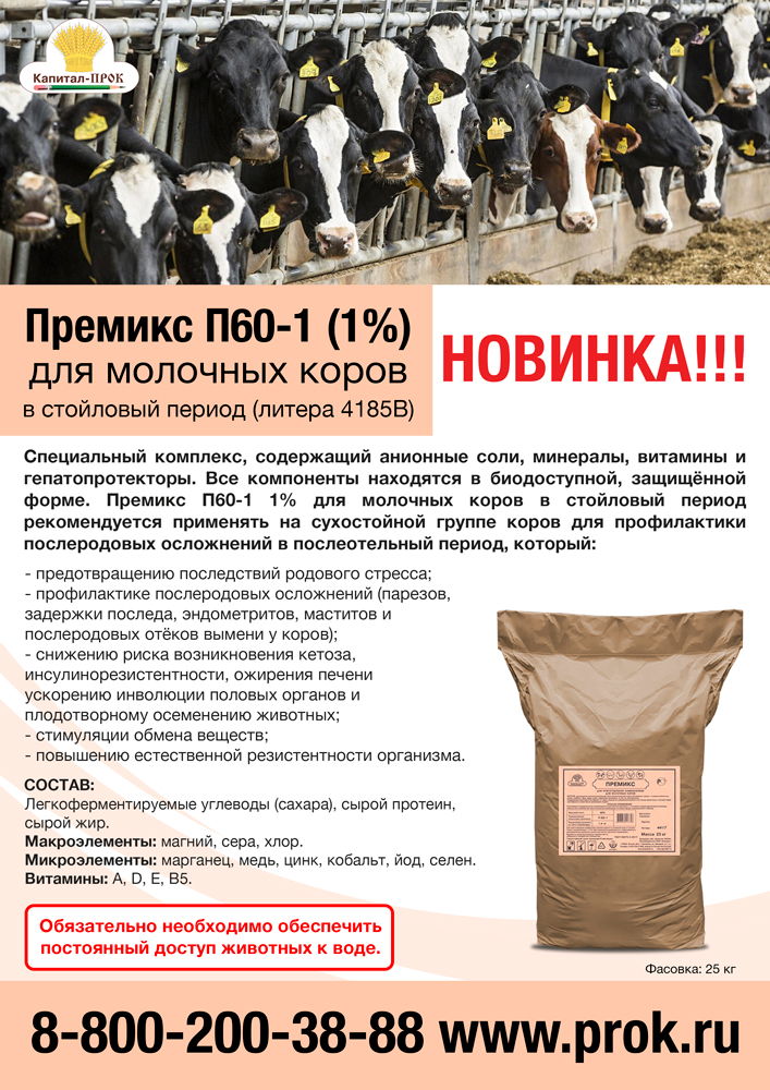 p60-1-3-1.jpg p60-1-3-1.jpg