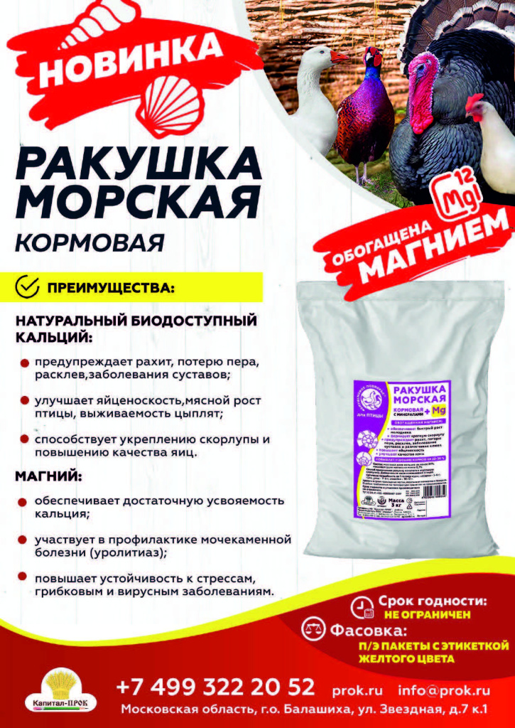 Новинки иТОП 2024 КП октябрь_Страница_09.jpg Новинки иТОП 2024 КП октябрь_Страница_09.jpg