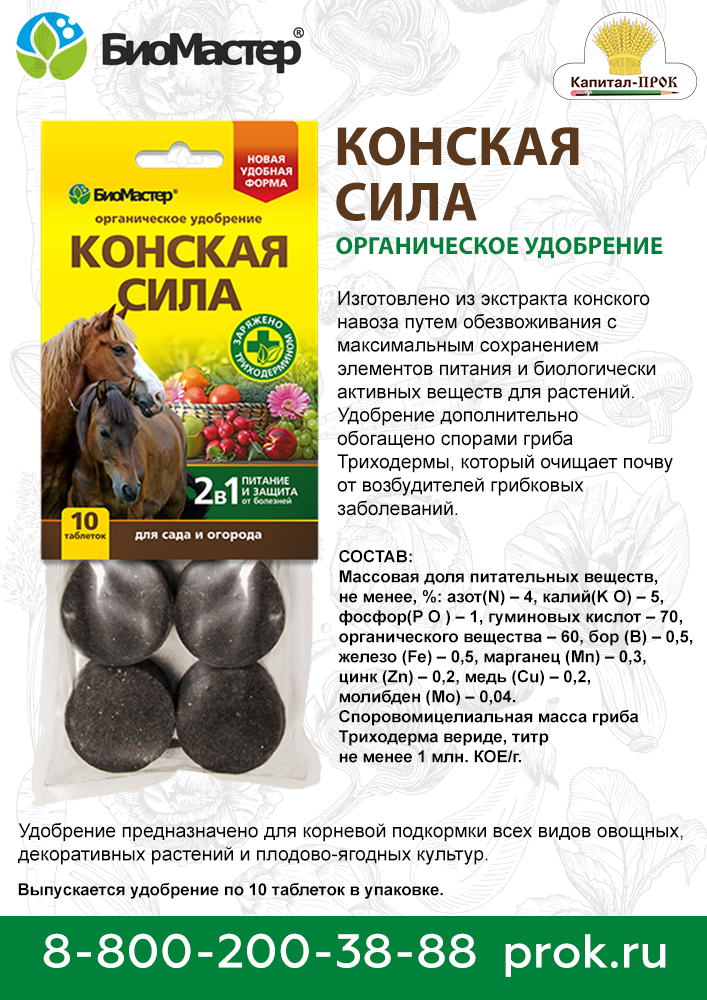 biomaster2-1.jpg biomaster2-1.jpg