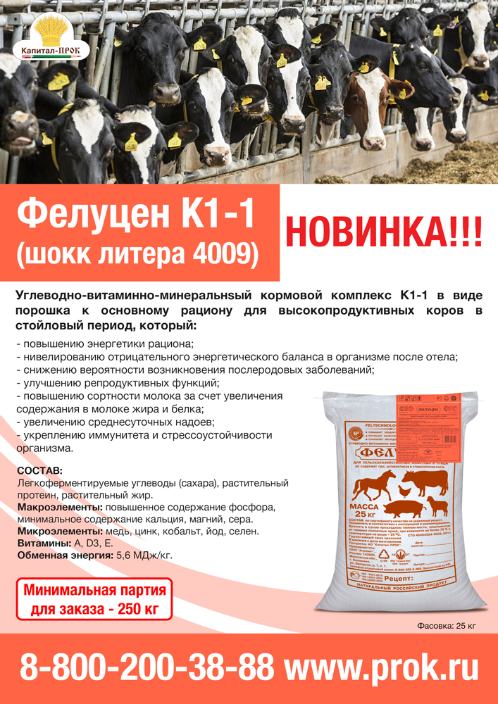 k1-1-1.jpg k1-1-1.jpg