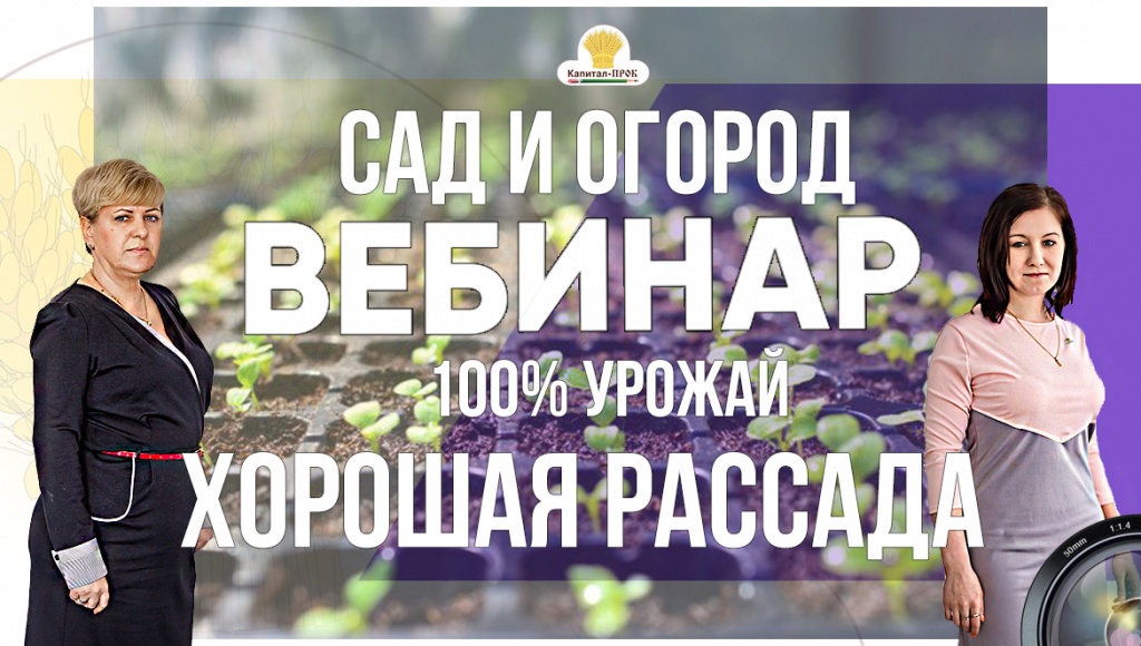 Без имени-21.jpg