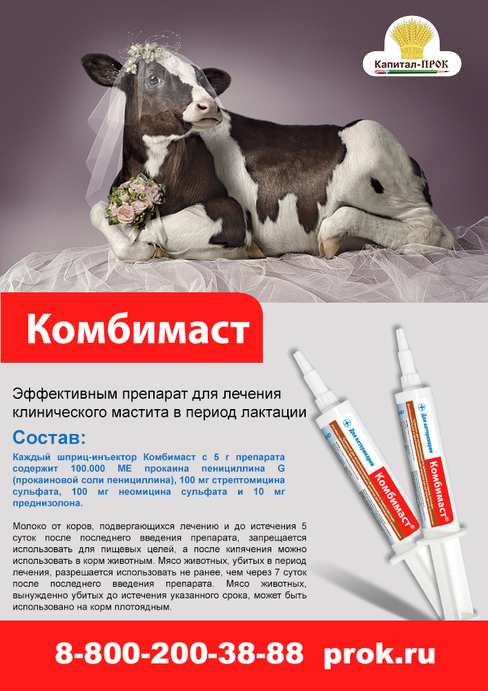Kombimast1.jpg Kombimast1.jpg