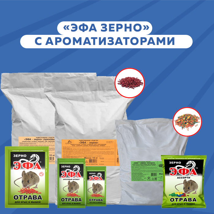 зерно.jpg зерно.jpg