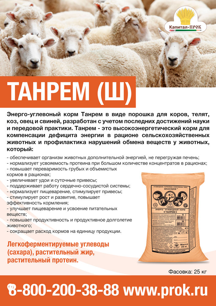tanrem-1.jpg tanrem-1.jpg
