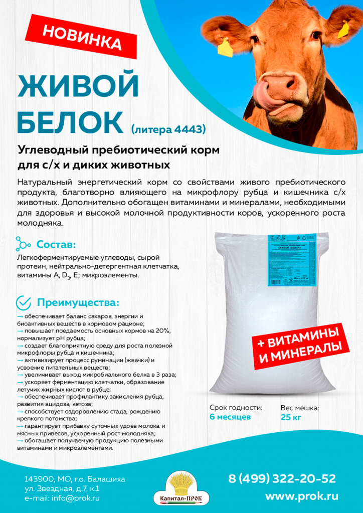НОВИНКИ август 2020 Капитал-ПРОК_Страница_06.jpg НОВИНКИ август 2020 Капитал-ПРОК_Страница_06.jpg