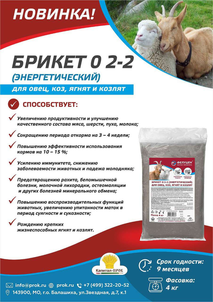 Новинки и ТОП 2025 ИЮНЬ КП_Страница_08.jpg