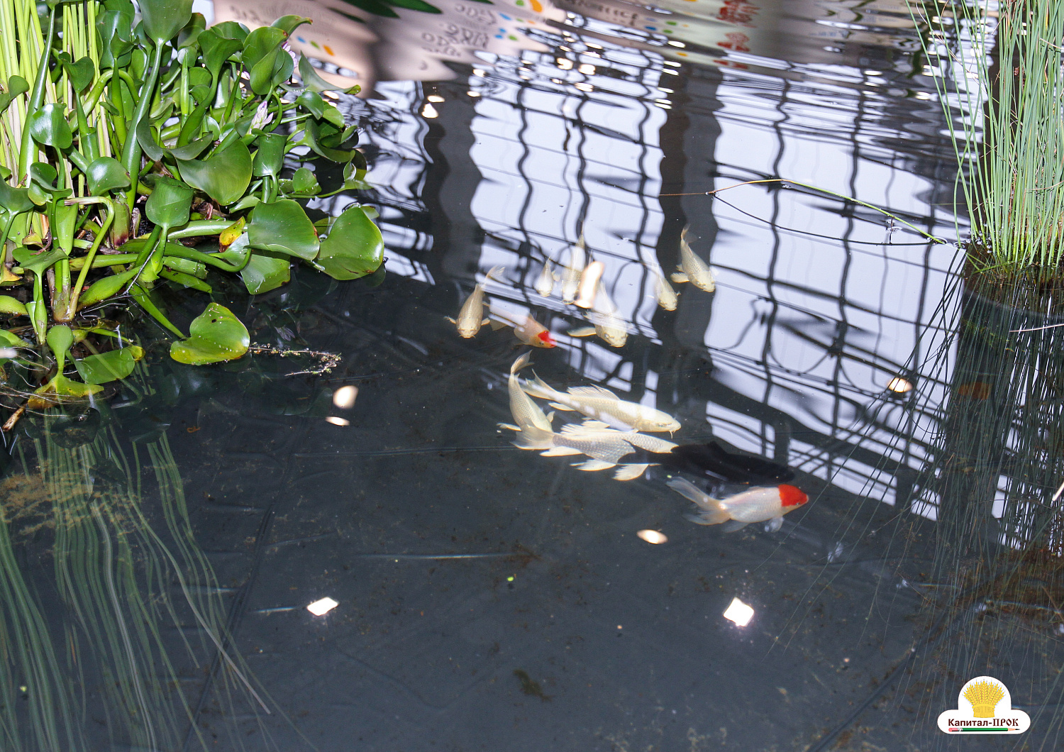 Компания Капитал-ПРОК приняла участие в XXV Международной выставке Цветы-2018