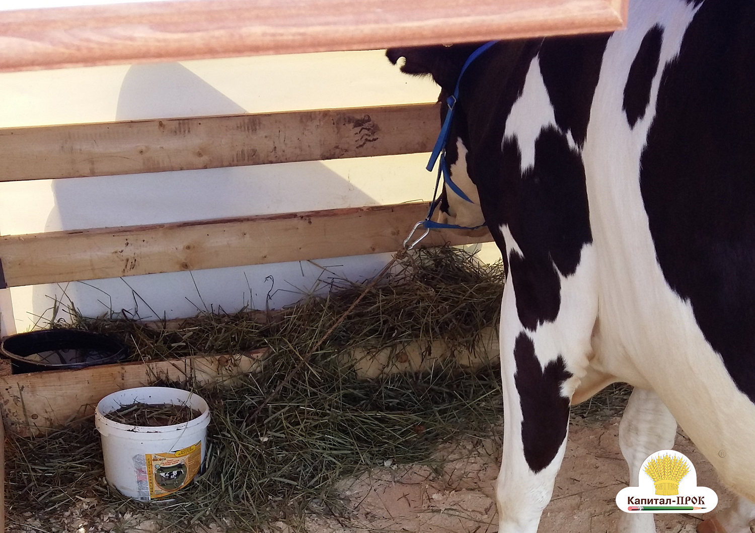 АГРОФЕСТ-2018