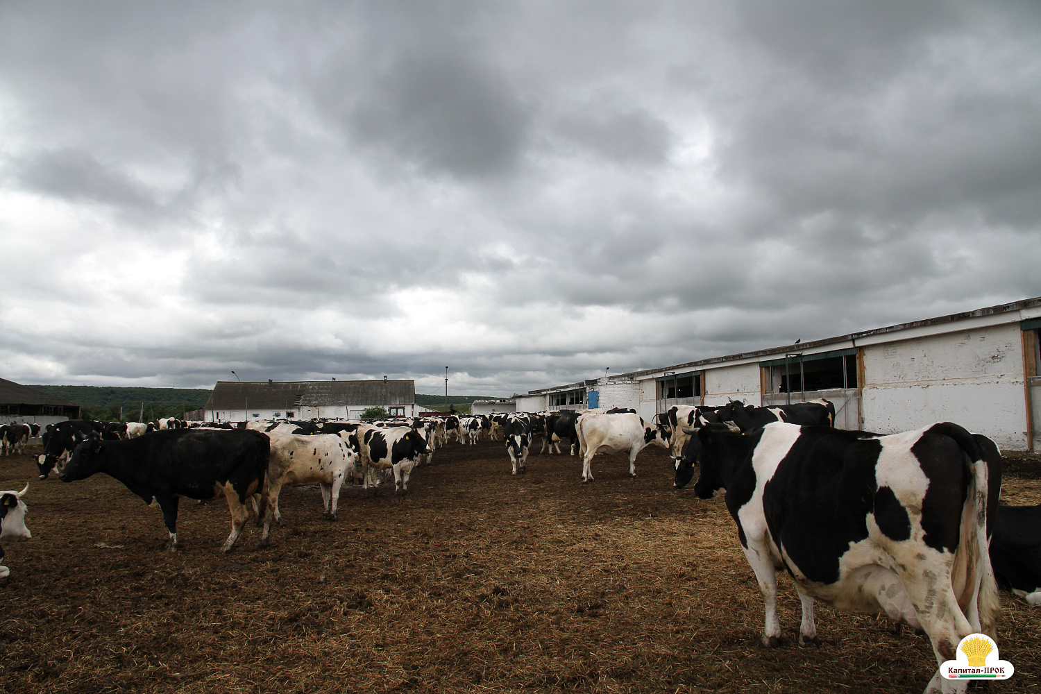 Капитал-ПРОК Страна стал спонсором профессионального конкурса