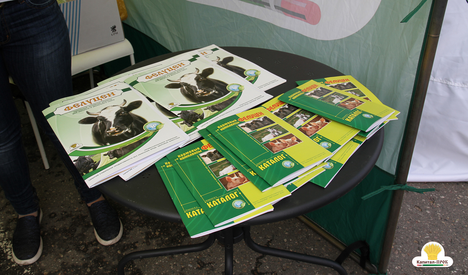 В Ивановской области завершился двенадцатый «День поля».