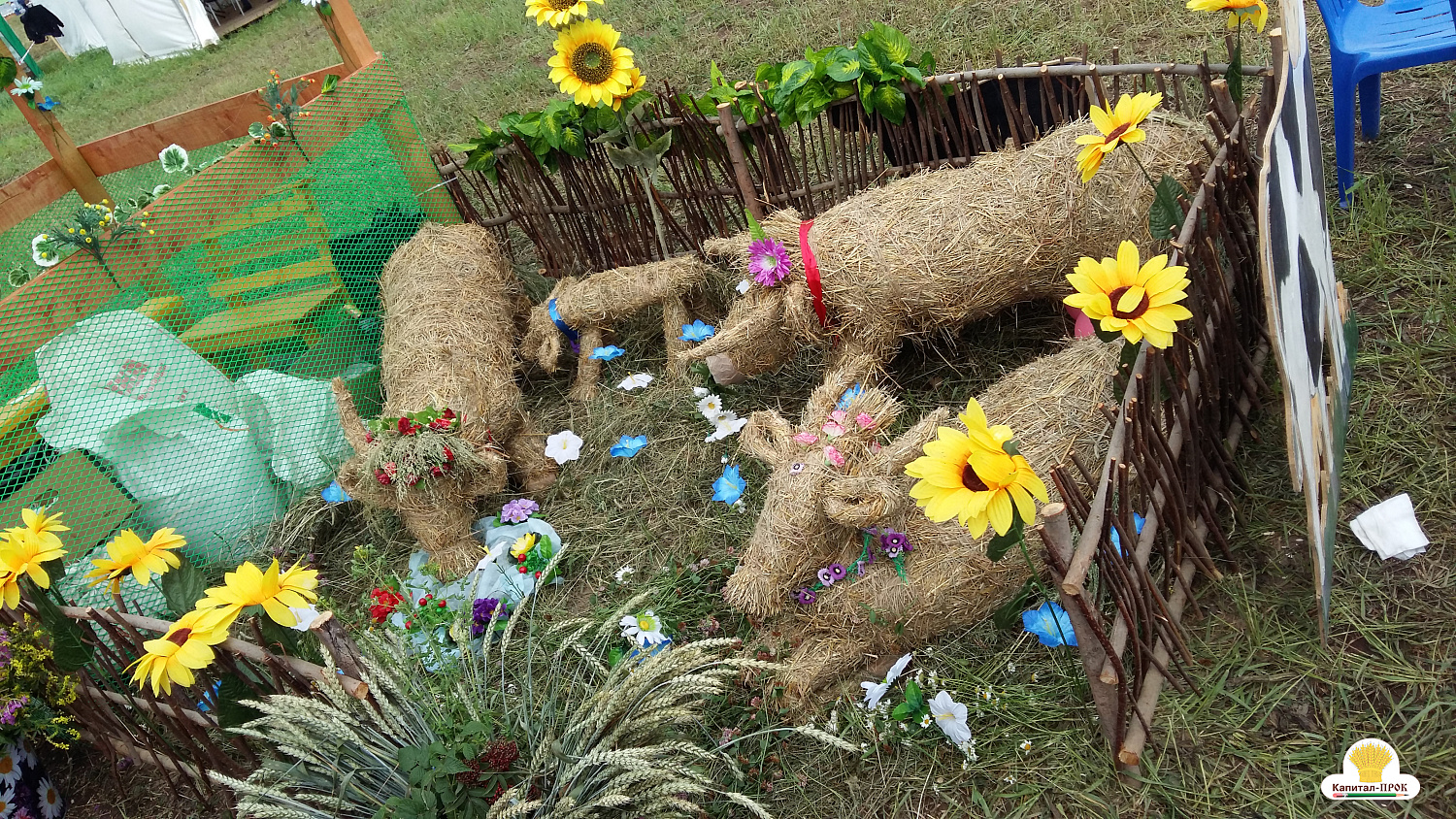 АГРОФЕСТ-2018