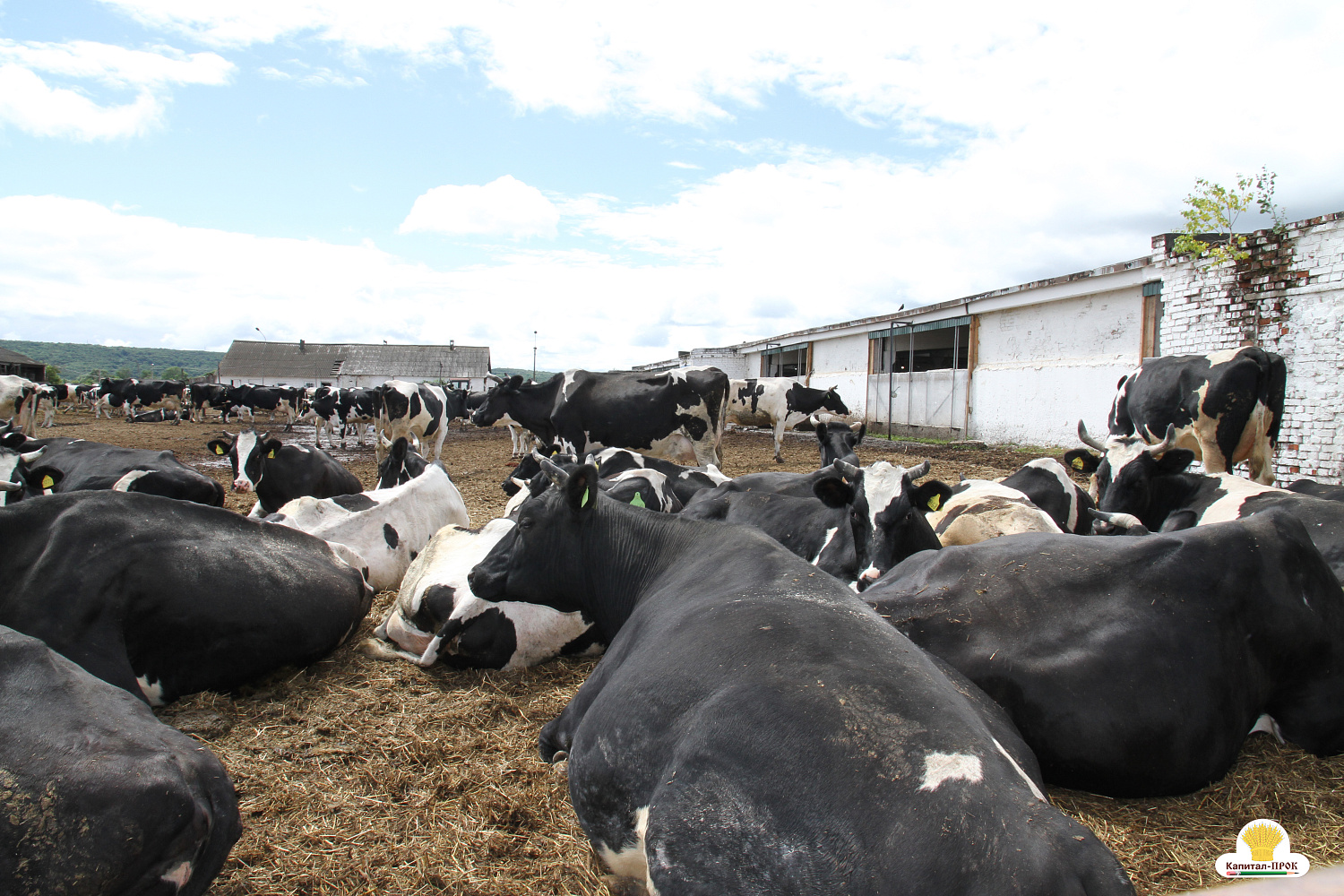 Капитал-ПРОК Страна стал спонсором профессионального конкурса