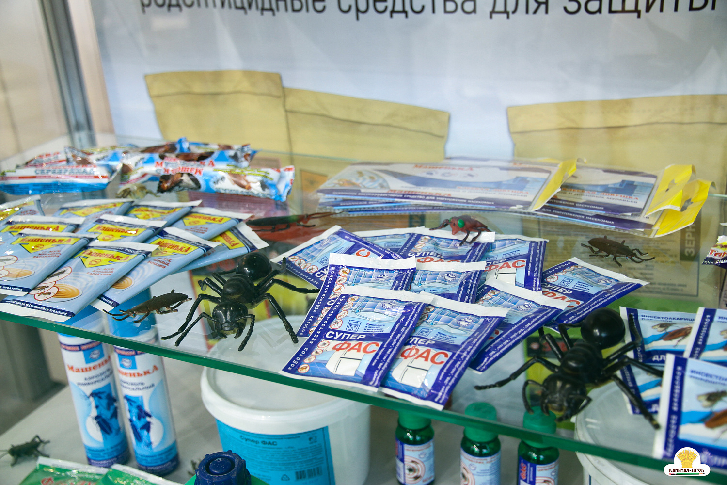 Компания Капитал-ПРОК приняла участие в XXV Международной выставке Цветы-2018